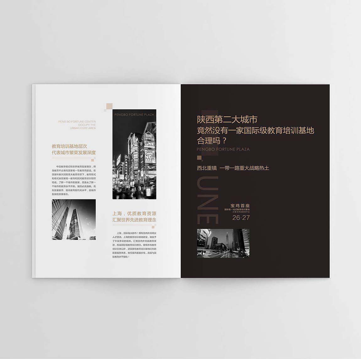 鵬博地產(chǎn)招商畫冊設(shè)計平面效果圖(圖6)
