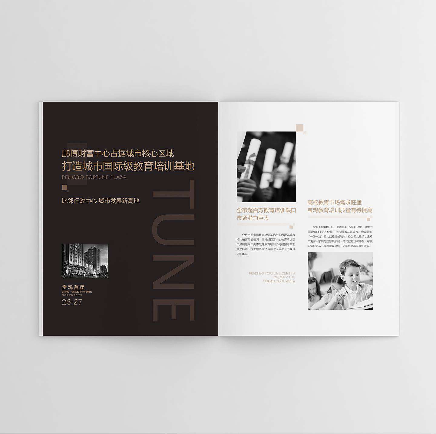 鵬博地產(chǎn)招商畫冊設(shè)計平面效果圖(圖7)