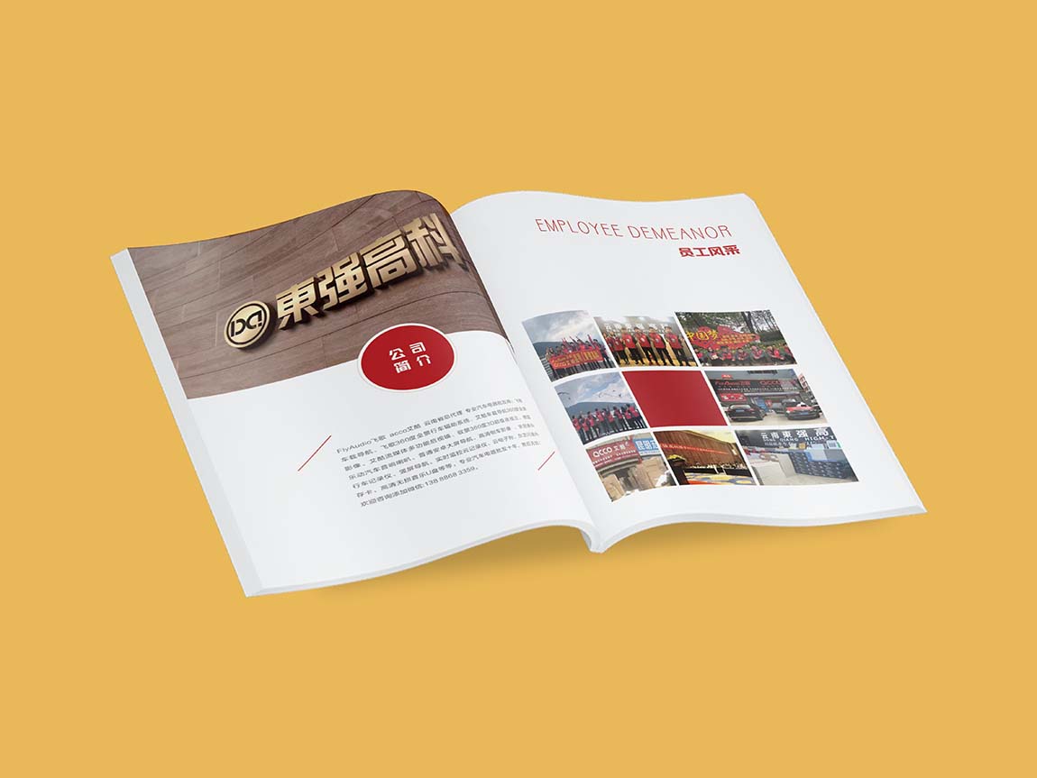 東強(qiáng)高科公司企業(yè)畫冊(cè)設(shè)計(jì)方案平面效果圖(圖2)